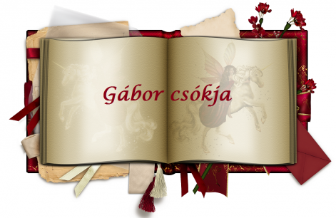 gabor_csokja.png